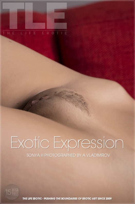 Sonya H in Exotic Expression photo 1 of 17